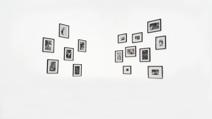 Project Gallery