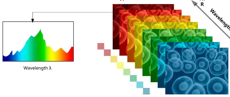 Hyperspectral Image