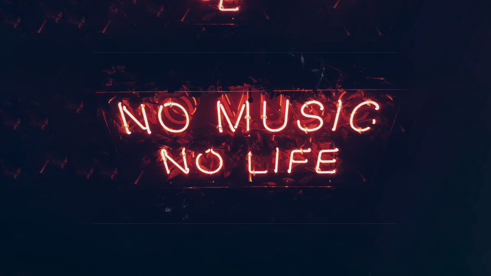header_img